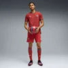 Maillot domicile homme Portugal 2026