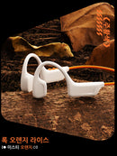 Genuine Lenovo S102 Bone Conduction Earphones Air Conduction Headphones V6.0 Wireless Sports HiFi Sound Swim Headset Waterproof